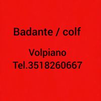 Donna delle pulizie / Badante a Volpiano