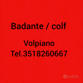 Donna delle pulizie / Badante a Volpiano