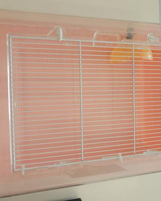 GABBIE PER CRICETI-GERBILLI