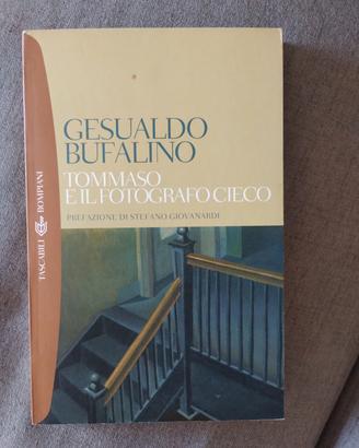 Tommaso e il fotografo cieco - Gesualdo Bufalino 