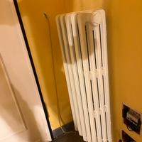 Termosifone in ghisa