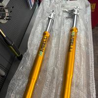 Forcelle Maselli 710mm 46/52 Pitbike