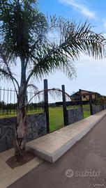 Terreno Edificabile - Mascali