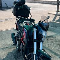 Benelli bn251