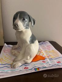 Cane royal copenaghen