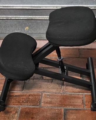 Sedia ergonomica regolabile con rotelle