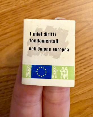 Diritti fondamentali dell’Unione Europea miniatura
