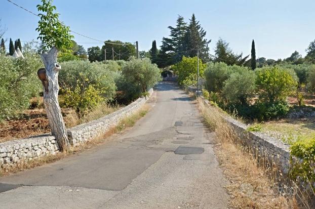 Terreno agricolo a Putignano