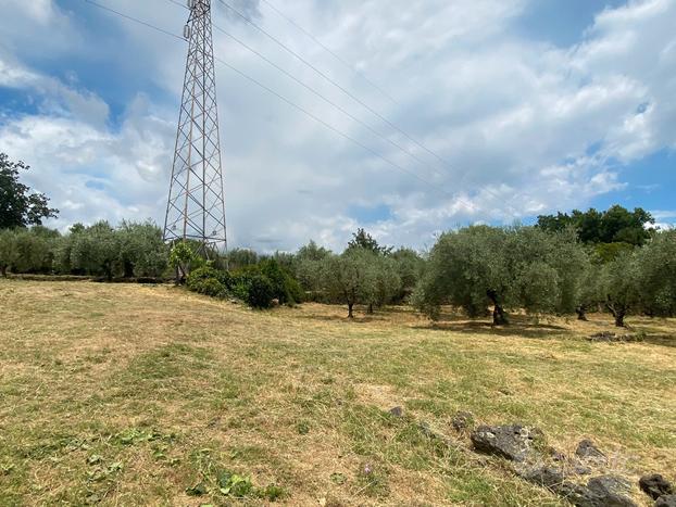 Terreno edificabile a Viagrande