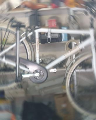 Bicicletta "Via Veneto" Elegance Man VV605AM Six s