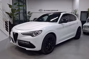 Alfa Romeo Stelvio 2.0 T Q4 Veloce 16V