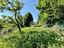 Immagine 11
