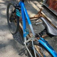 MTB muscolare Cannondale