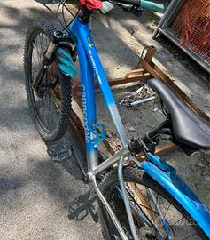 MTB muscolare Cannondale