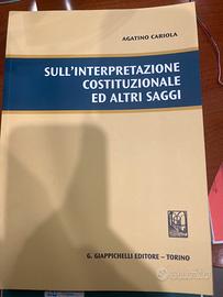 Sull'interpretazione costituzionale