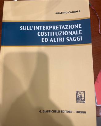 Sull'interpretazione costituzionale