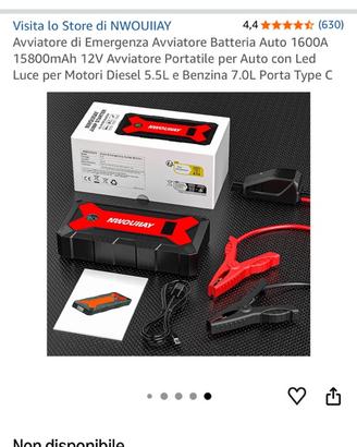 Caricabatteria auto