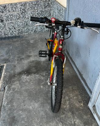 Bicicletta