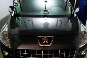 PEUGEOT 3008 1ª serie - 2013