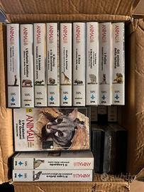 VHS “Gli Animali” DeAgostini