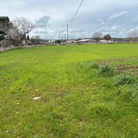 Terreno di 10.491 mq, con trullo