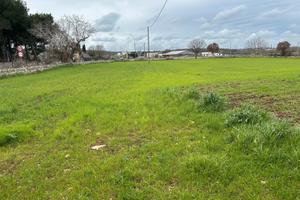 Terreno di 10.491 mq, con trullo