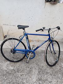 City bike Torpado  28