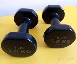 2 MANUBRI DA PALESTRA
