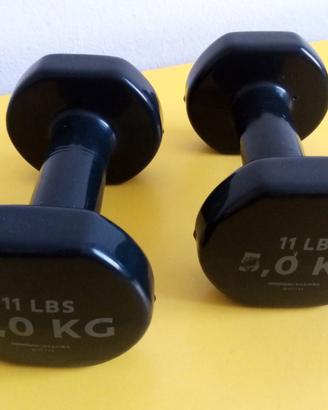 2 MANUBRI DA PALESTRA