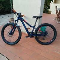 Bici mtb