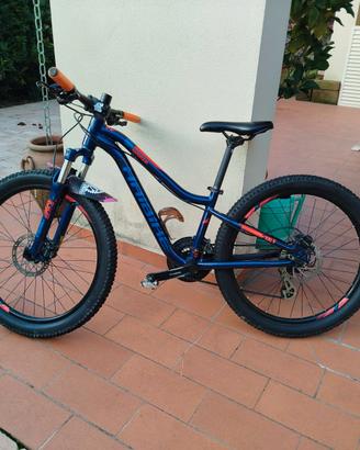 Bici mtb