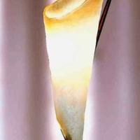 Lampada piantana Kingston