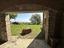 Immagine 18