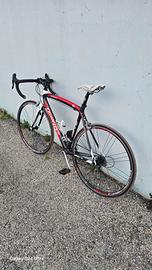 bici da corsa Willier triestina izoard XP 