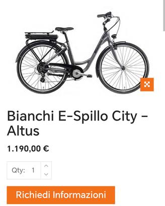 bici elettrica 