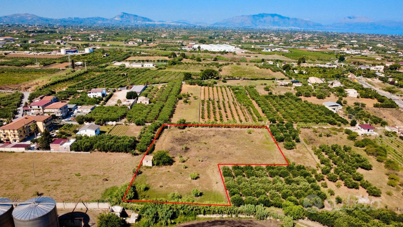 Terreno agricolo a Partinico, Contrada Bisaccia - Vista 5