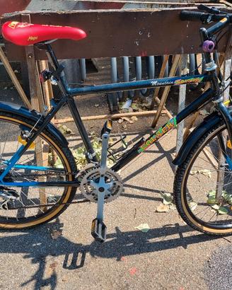 mountain bike Colner