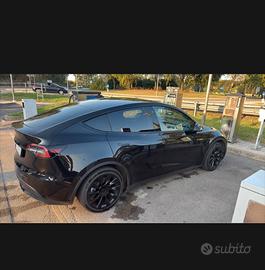 Tesla model Y rwd