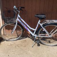 Bicicletta