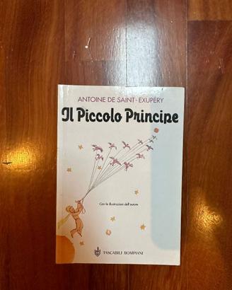 Libro Il Piccolo Principe
