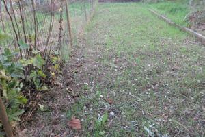 Immobile di 40 m² con 3 locali a Vallefoglia