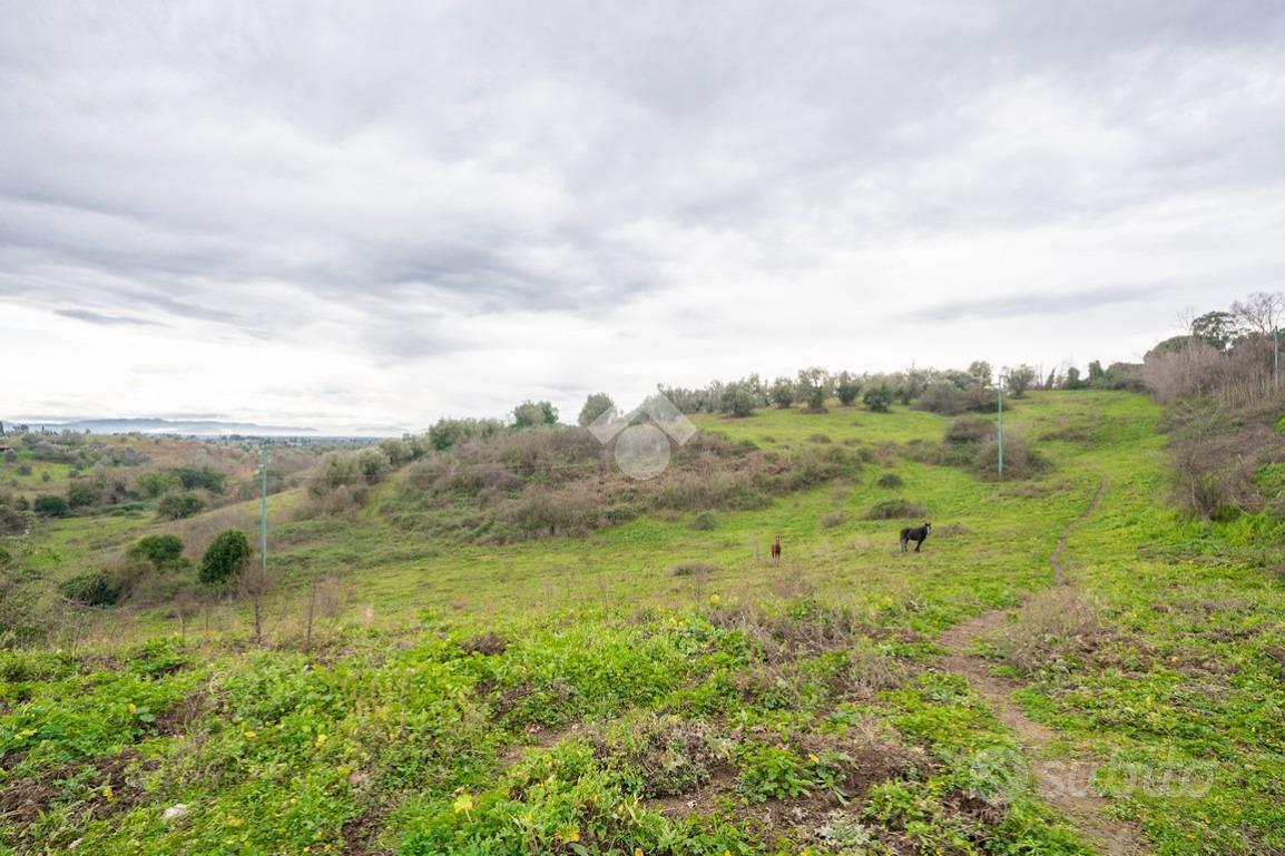 TER. AGRICOLO A SACROFANO - Vista 3