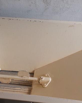 Dirasatrice elettrica per uva