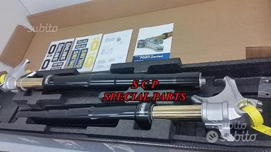 Forcelle ohlins nix ducati panigale