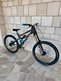 Mtb downhill freeride