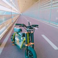 bicicletta elettrica