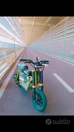 bicicletta elettrica