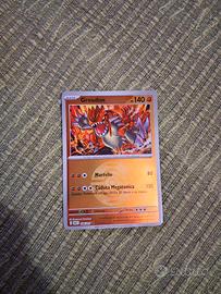groudon rara ascesa eroica