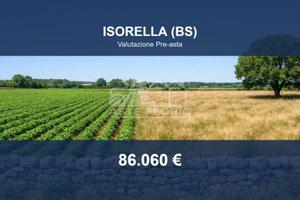 Immobile in asta di 18470 m² a Isorella