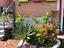 Immagine 13